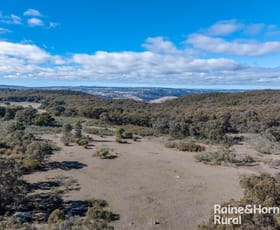 Rural / Farming commercial property for sale at 388 Alps Road Bigga NSW 2583