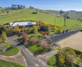 Rural / Farming commercial property for sale at 216 Clonbinane Road Wandong VIC 3758