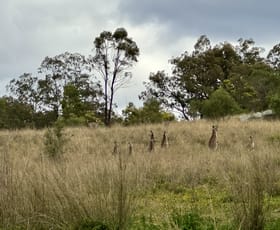 Rural / Farming commercial property for sale at "Top Rosemount" Rosemount Rd Denman NSW 2328