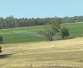 Rural / Farming commercial property for sale at Ringbark Road Manjimup WA 6258