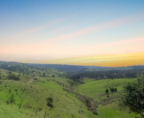 Rural / Farming commercial property for sale at 1679 Ingoldsby Road Ingoldsby QLD 4343