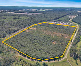 Rural / Farming commercial property for sale at Lot 1A, 919 Clearfield Road Myrtle Creek NSW 2469