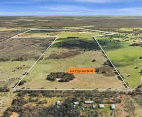 Rural / Farming commercial property for sale at Lot 1/753 Clays Road Bagshot North VIC 3551