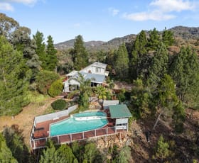 Rural / Farming commercial property for sale at 442 Riverlea Road Mudgee NSW 2850