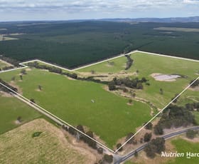 Rural / Farming commercial property for sale at Lots 1 & 2 Rosedale-Flynns Creek Road Flynn VIC 3844