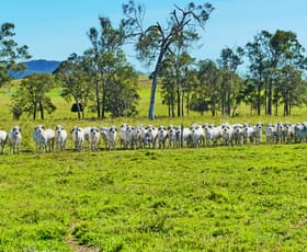 Rural / Farming commercial property for sale at 84 Austin Road Victoria Plains QLD 4751