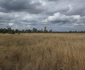 Rural / Farming commercial property for sale at Lot/115 Kofoeds Road Tara QLD 4421