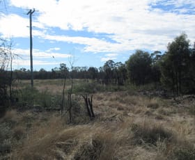 Rural / Farming commercial property for sale at 107 Myra Road Tara QLD 4421