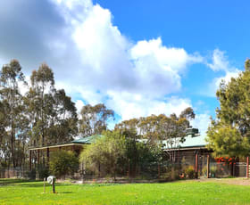 Rural / Farming commercial property for sale at 647 Sloans Road Violet Town VIC 3669