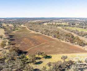 Rural / Farming commercial property for sale at 8, - Emmaville Road Emmaville NSW 2371 Rural / Farming commercial property for sale at 8, - Emmaville Road Emmaville NSW 2371