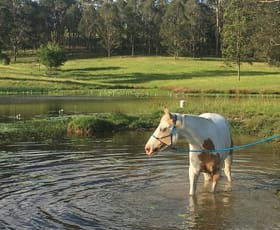 Rural / Farming commercial property for sale at 148 Mimi Creek Road Firefly NSW 2429