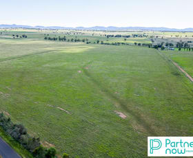 Rural / Farming commercial property for sale at 205 Gidley-Appleby Road Tamworth NSW 2340