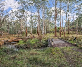 Rural / Farming commercial property for sale at 467 Bonang Road Bendoc VIC 3888