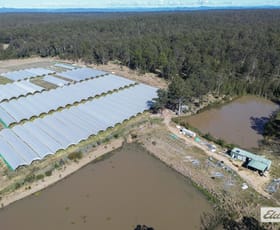 Rural / Farming commercial property for sale at 357 Big River Way Glenugie NSW 2460
