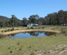 Rural / Farming commercial property for sale at 485 Reedy Creek Road Rylstone NSW 2849