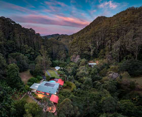 Rural / Farming commercial property for sale at 164C Fridays Creek Road Upper Orara NSW 2450
