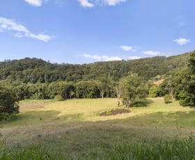 Rural / Farming commercial property for sale at 536 Cudgera Creek Road Cudgera Creek NSW 2484