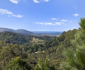 Rural / Farming commercial property for sale at 536 Cudgera Creek Road Cudgera Creek NSW 2484