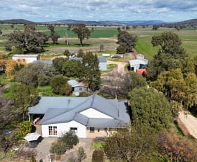 Rural / Farming commercial property for sale at 354 Mount Pleasant Road Eugowra NSW 2806
