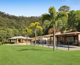 Rural / Farming commercial property for sale at 8A Wongawallan Road Wongawallan QLD 4210