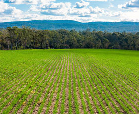 Rural / Farming commercial property for sale at 119 Paddys Flat Road Tabulam NSW 2469