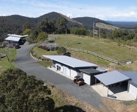 Rural / Farming commercial property for sale at 500 Pipeclay Creek Rd Nabiac NSW 2312