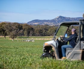 Rural / Farming commercial property for sale at 214 Tarban Loop Road Tenterfield NSW 2372