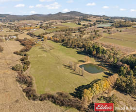 Rural / Farming commercial property for sale at 303 Lake Canobolas Rd Road Canobolas NSW 2800
