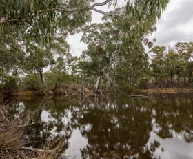 Rural / Farming commercial property for sale at Lot 146, 1093 Pyramul Road Mudgee NSW 2850