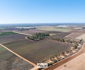 Rural / Farming commercial property for sale at 173 Alkira Road Yelta VIC 3505