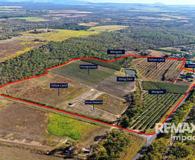 Rural / Farming commercial property for sale at 446 Chewko Road Mareeba QLD 4880