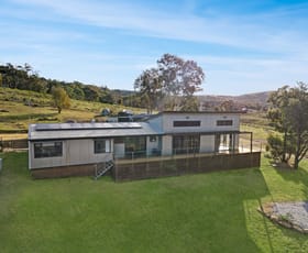Rural / Farming commercial property for sale at 428 Doughertys Junction Road Hargraves NSW 2850