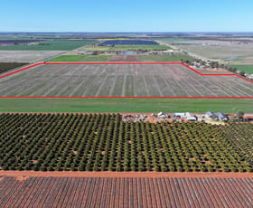 Rural / Farming commercial property for sale at Lot 1/DP 1309984 Ross Road Yoogali NSW 2680