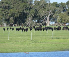 Rural / Farming commercial property for sale at 1770 Beermullah Road West Wanerie WA 6503
