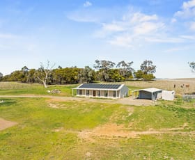 Rural / Farming commercial property for sale at 126 Rogerson Lane Binalong NSW 2584