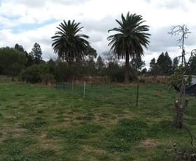 Rural / Farming commercial property for sale at 9207 Boomerang Street Rankins Springs NSW 2669