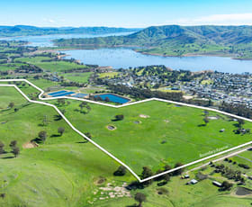 Rural / Farming commercial property for sale at 591 Murray Valley Highway Tallangatta VIC 3700