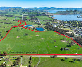 Rural / Farming commercial property for sale at 591 Murray Valley Highway Tallangatta VIC 3700