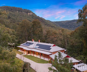 Rural / Farming commercial property for sale at 131 Rodney Road Mount Vincent NSW 2323