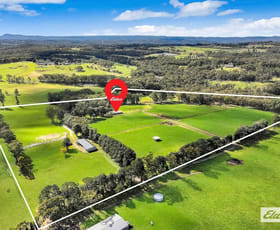 Rural / Farming commercial property for sale at 271 Williams Road Kulnura NSW 2250