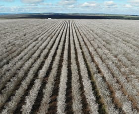 Rural / Farming commercial property for sale at Tharbogang NSW 2680
