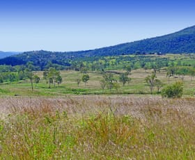 Rural / Farming commercial property for sale at LOT 570, 2, 3 Capricorn Highway Westwood QLD 4702