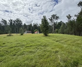 Rural / Farming commercial property for sale at 613 Cuttburra Road Nerrigundah NSW 2545