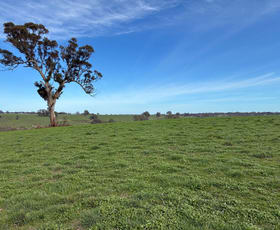 Rural / Farming commercial property for sale at 240 Harrow-Clear Lake Road Harrow VIC 3317