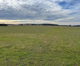 Rural / Farming commercial property for sale at 989 South Valley Road Rocky Creek NSW 2371
