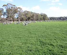 Rural / Farming commercial property for sale at 202 Malones Road Naracoorte SA 5271