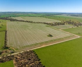Rural / Farming commercial property for sale at 166 Mathews Road Downside NSW 2650