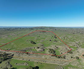 Rural / Farming commercial property for sale at 695 Beeac-Dreeite Road Dreeite VIC 3249
