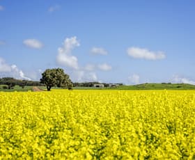 Rural / Farming commercial property for sale at 829 Nabawa Northampton Road Hickety WA 6532