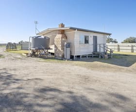 Rural / Farming commercial property for sale at 51 Goodman Road Woorinen VIC 3589